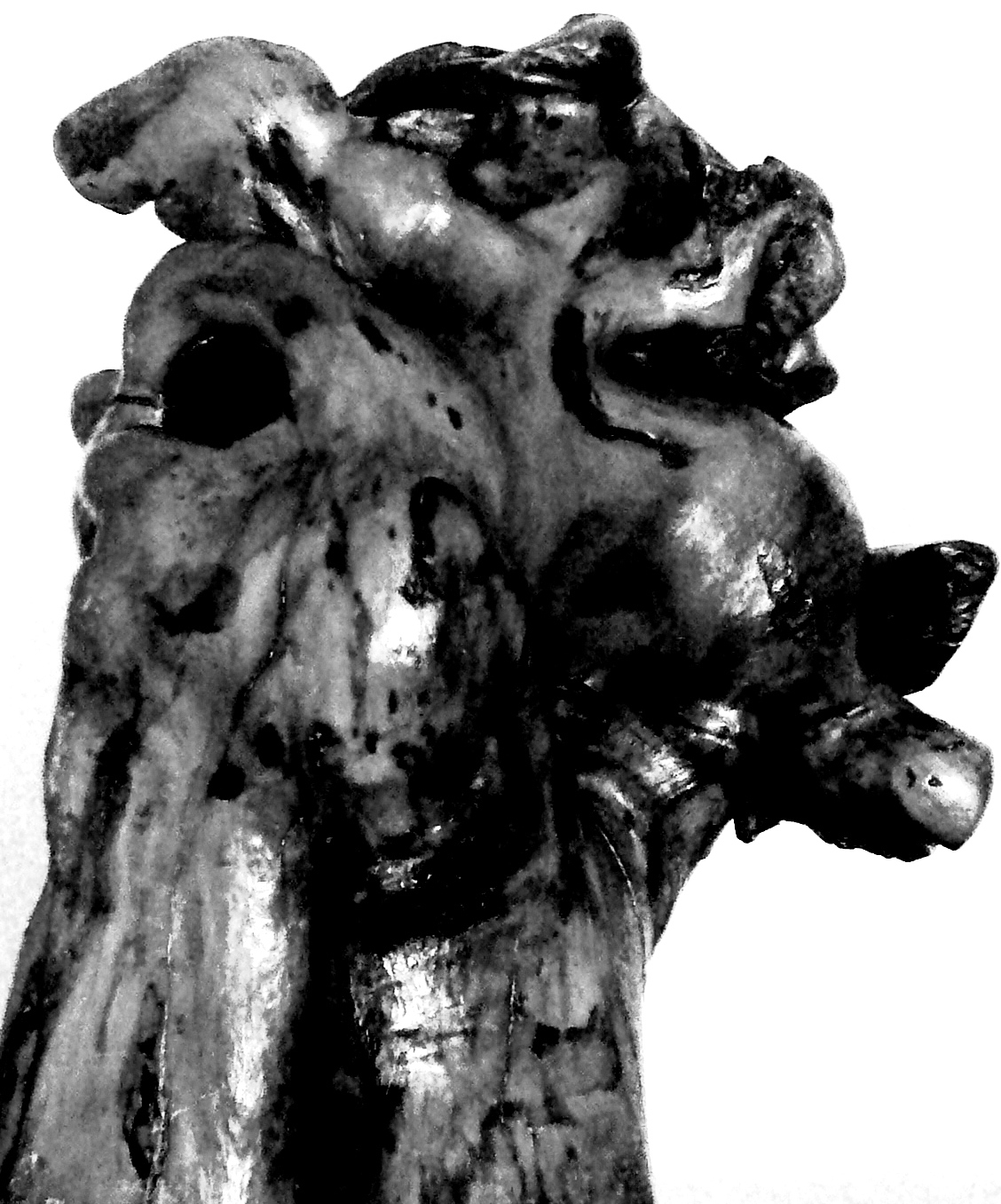 Kaos, Edition d'Eros et societ�s Essai plastique � l'occasion de l'...Jacky R�ault 