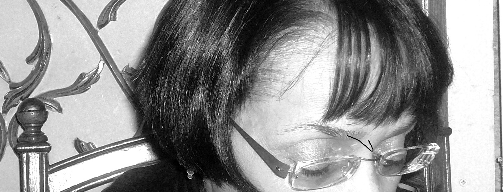 Une voix sous un regard, Piar de J Deniot � la BNF 2015